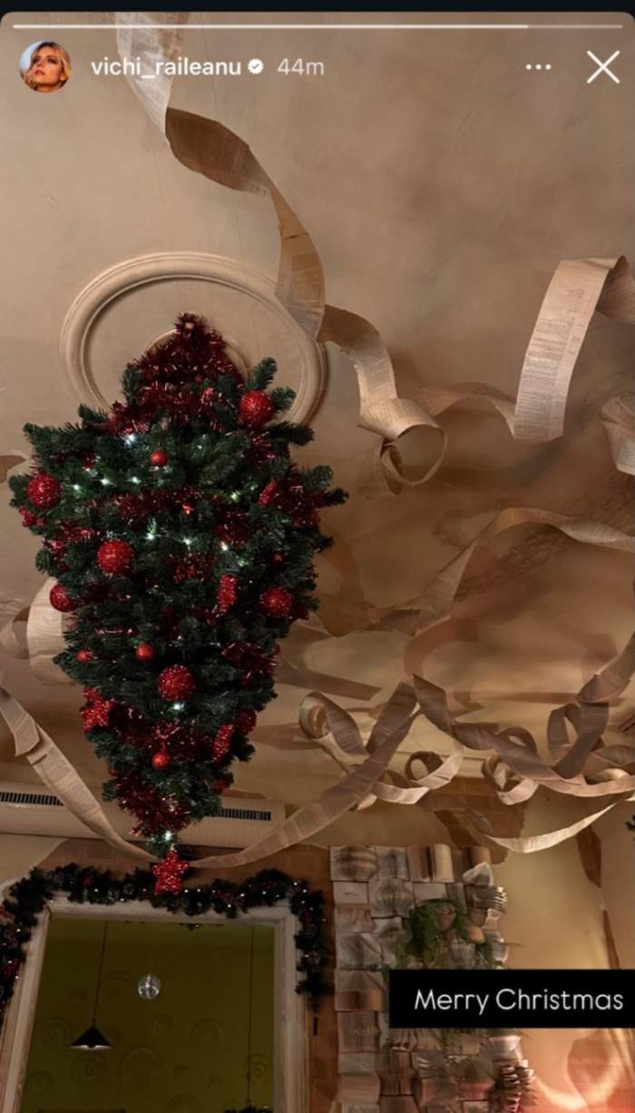 Bradul lui Vichi Raileanu