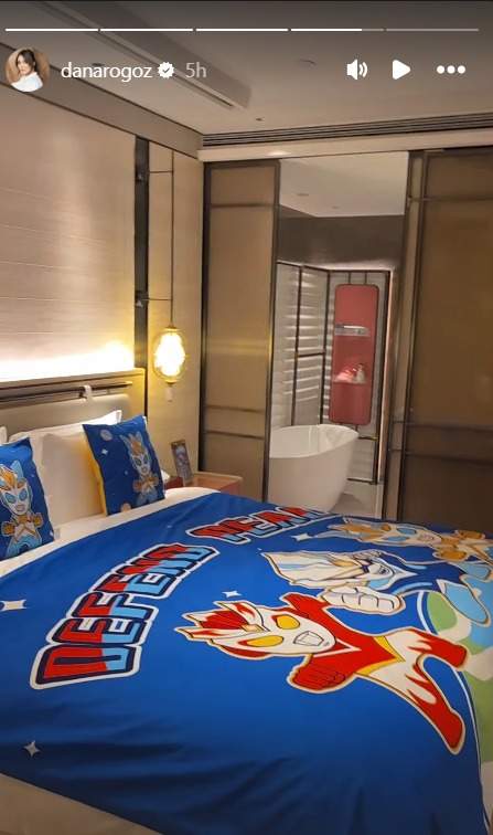 Camera de hotel a Danei Rogoz