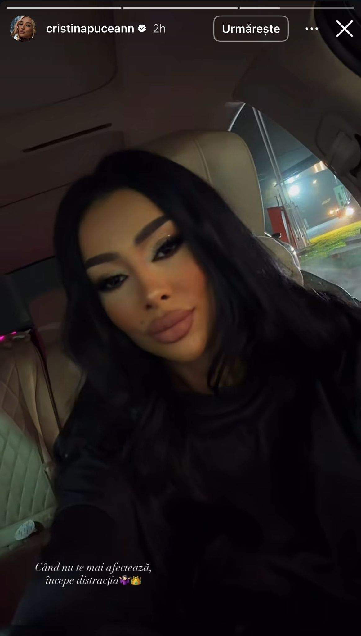 Povestea Cristinei Pucean, de pe Instagram