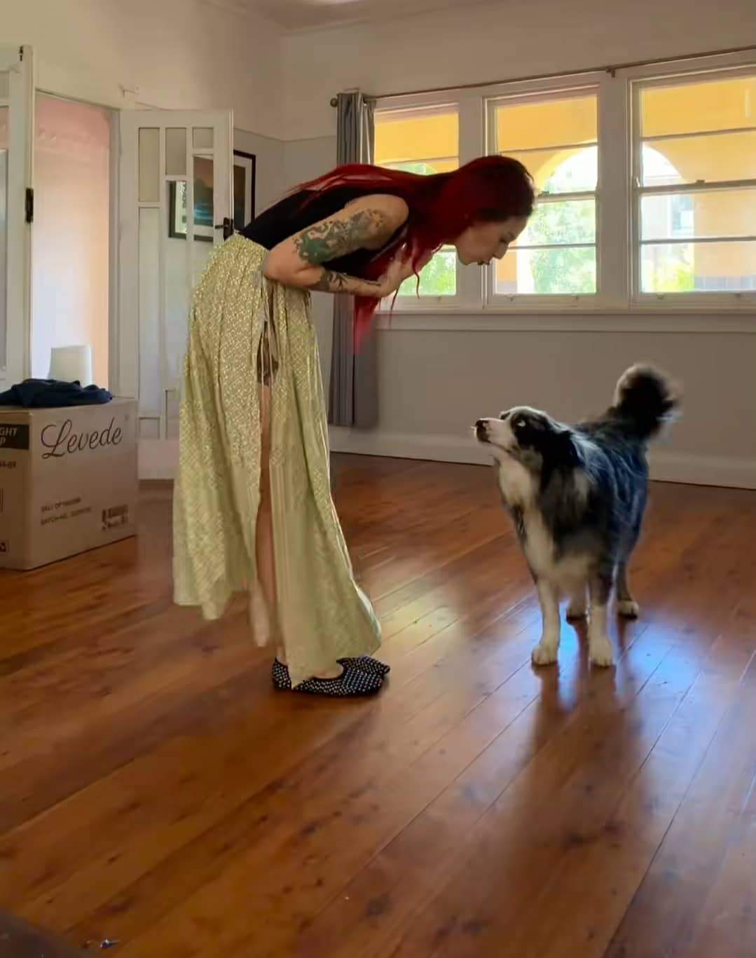 casa lui Marilu Dobrescu și câinele lui Tom