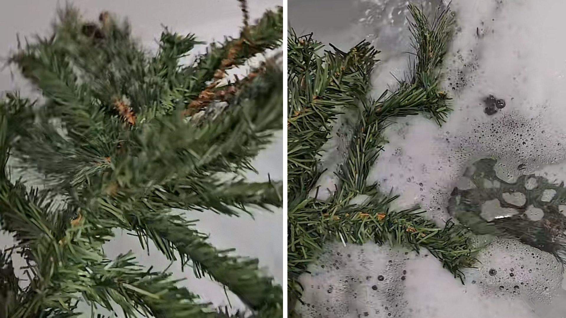 Colaj brad băgat în cadă