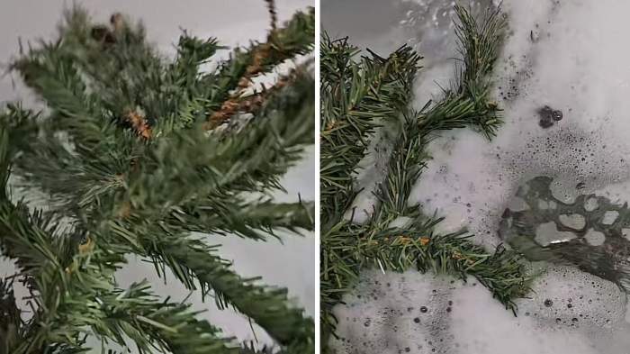 Colaj brad băgat în cadă