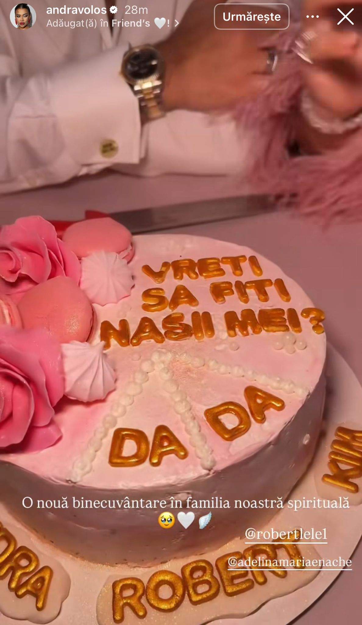 Tortul pe care l-au primit Andra Volos și Robert Lele
