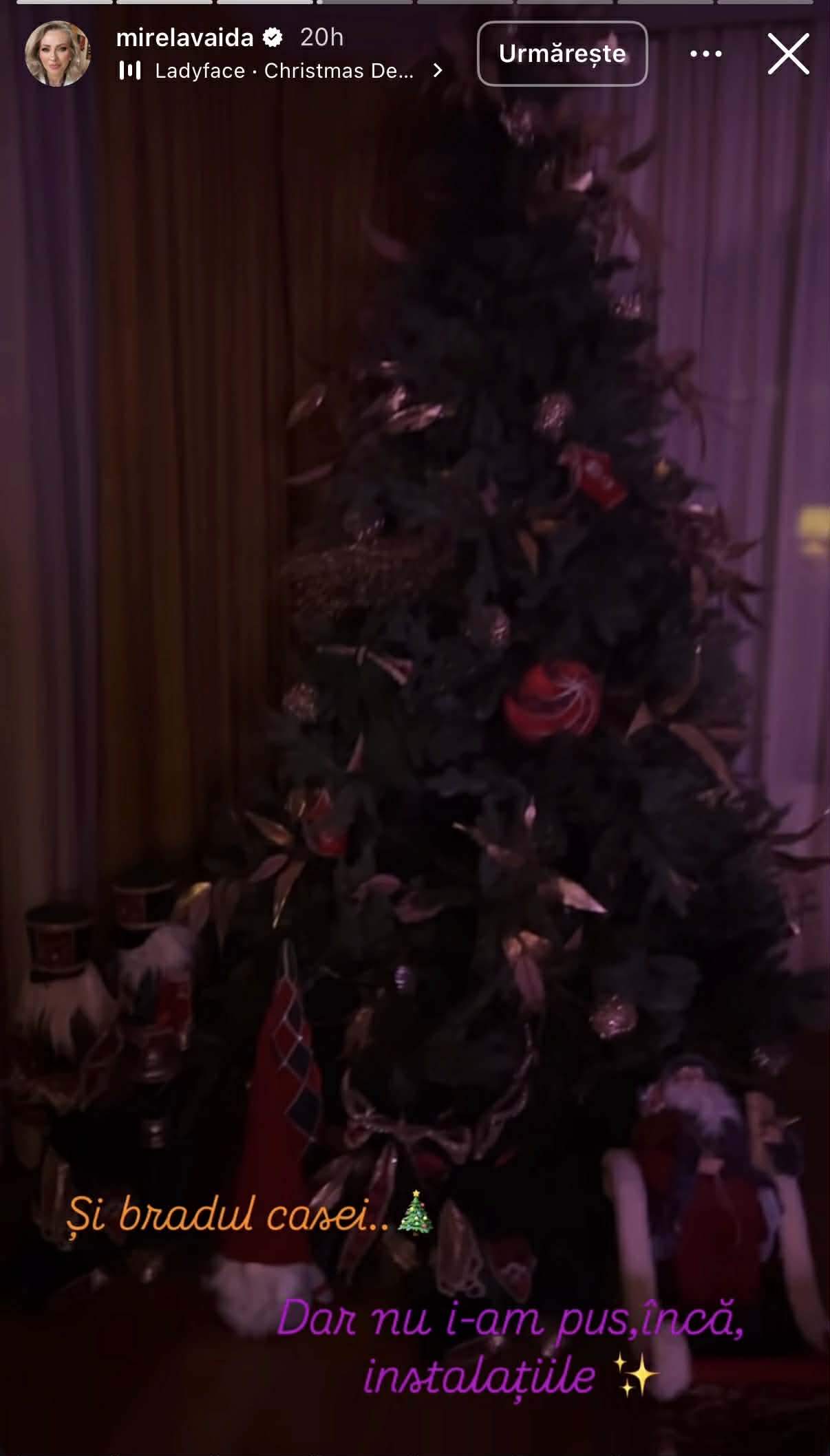 Motivul pentru care Mirela Vaida a împodobit patru brazi în casă! Prezentatoarea Acces Direct a explicat totul