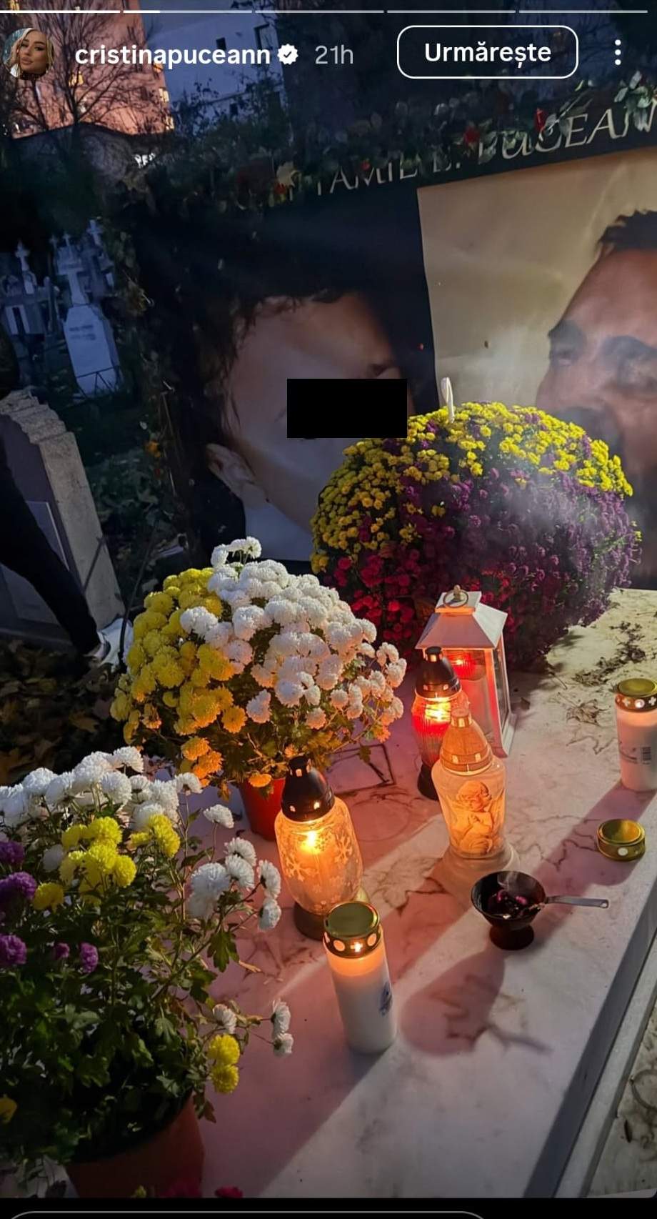 nepot si tata cristina pucean