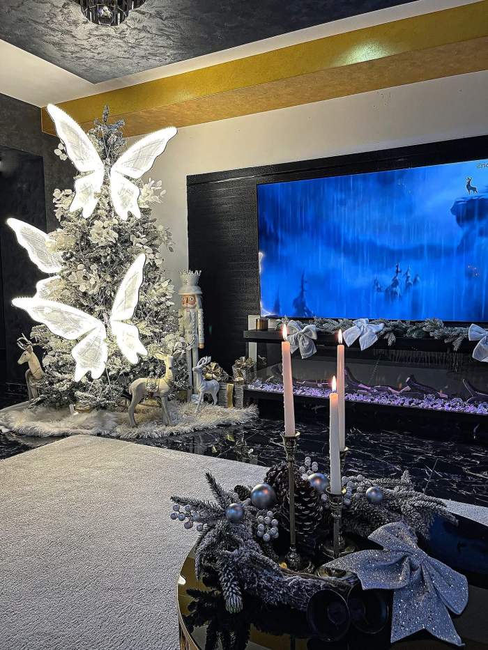 Bradul Loredanei Chivu