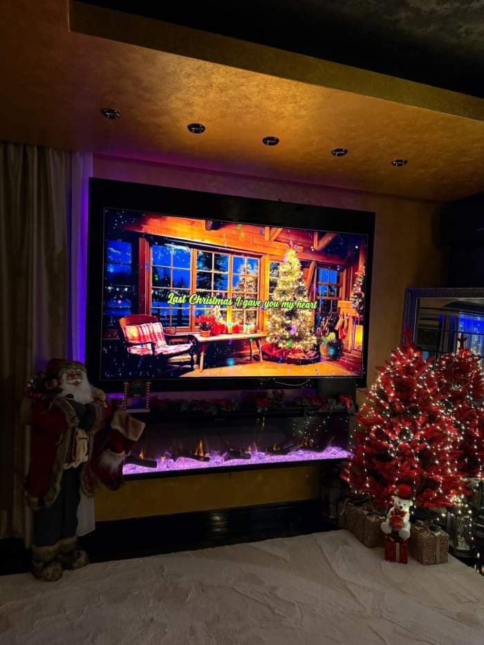 Al doilea brad al Loredanei Chivu