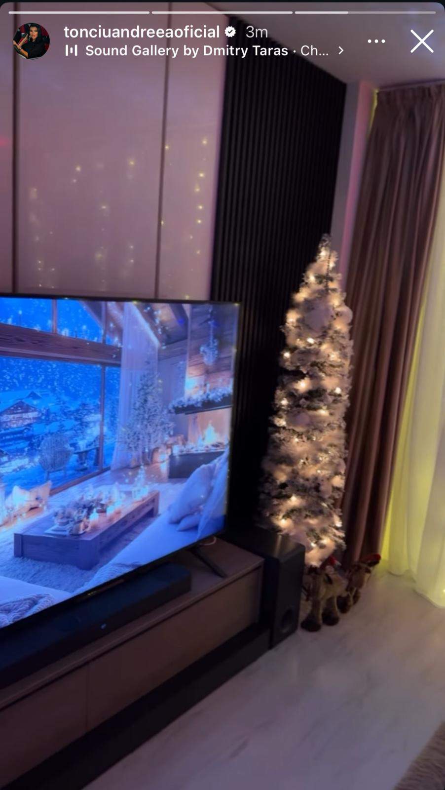 Unul din brazii Andreei Tonciu