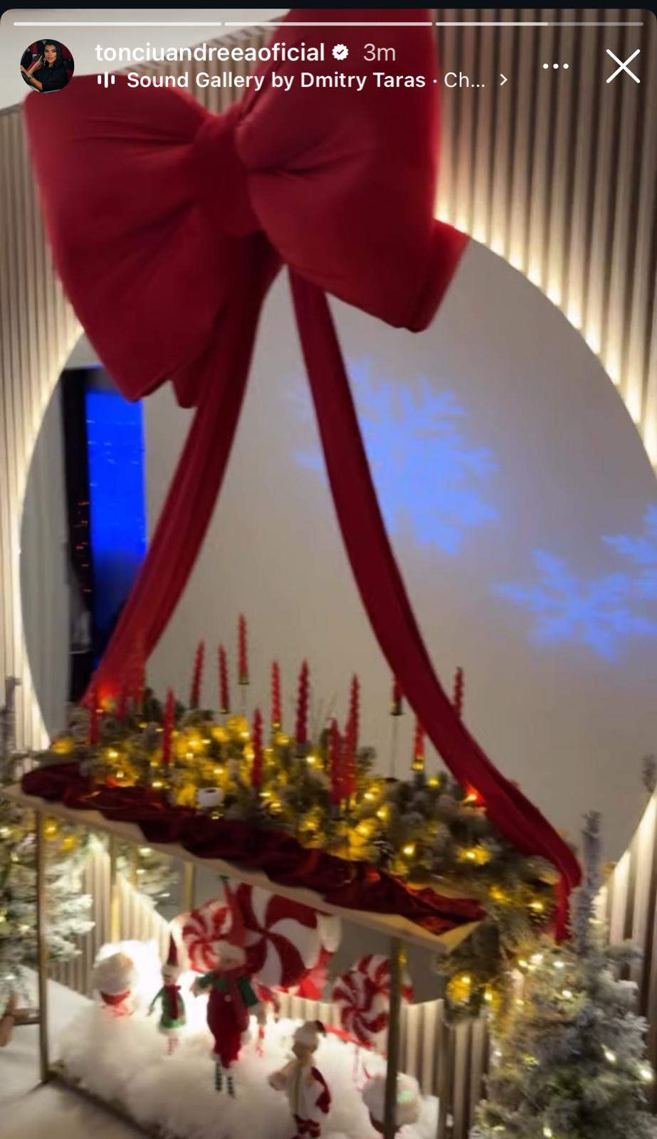 Fundă gigant, în casa Andreei Tonciu