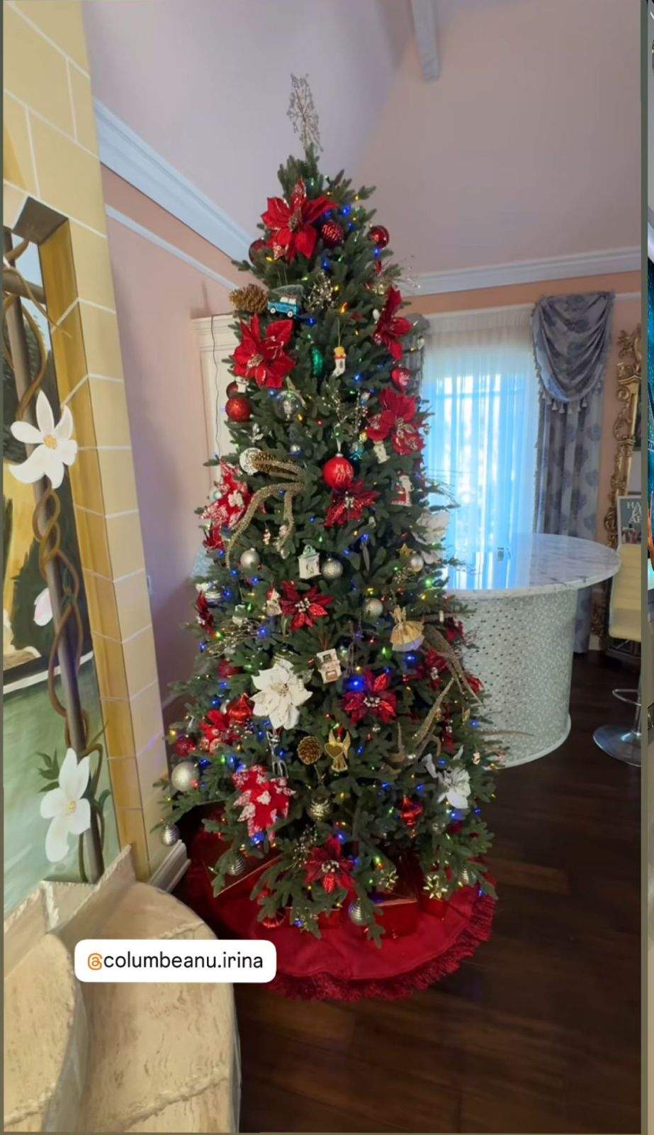 Bradul Monicăi Gabor