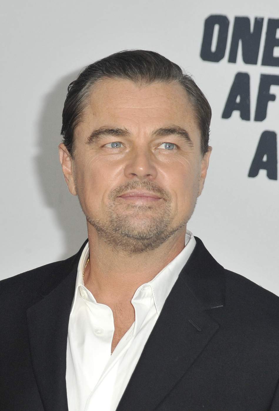 leonardo dicaprio