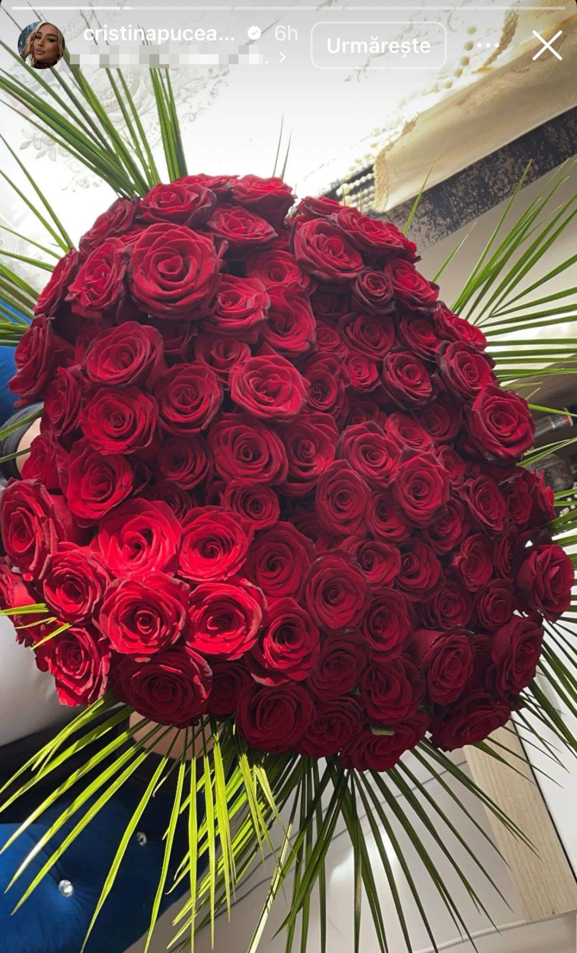 Cadoul Cristinei Pucean