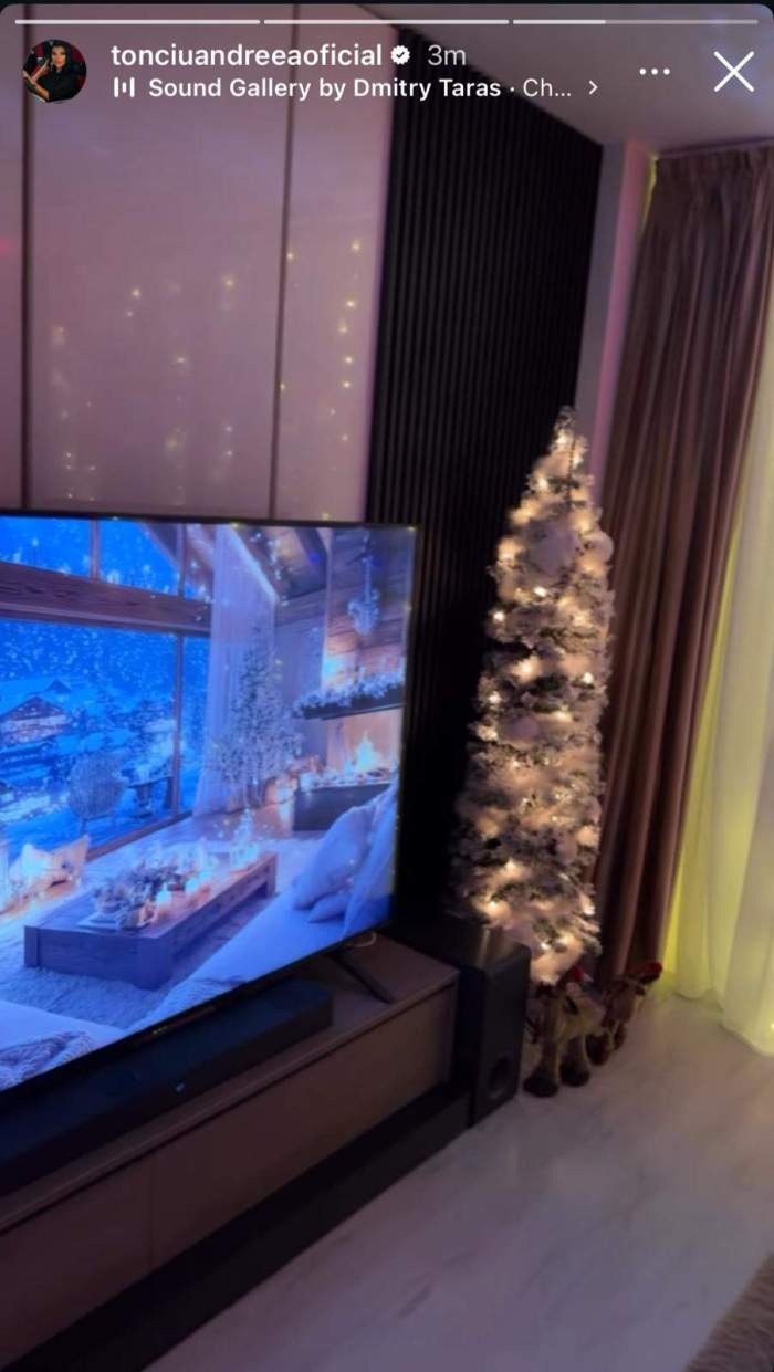 andreea tonciu brad de craciun