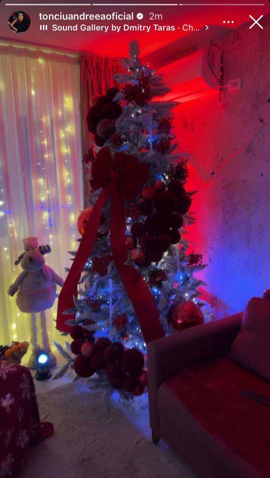 andreea tonciu brad de craciun