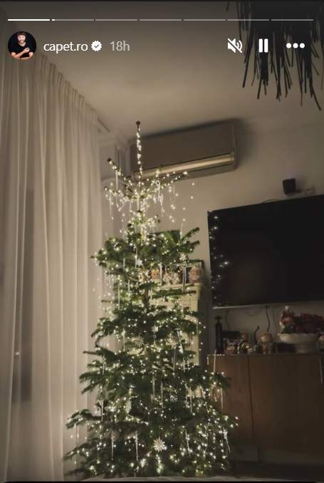 marian capet brad de craciun