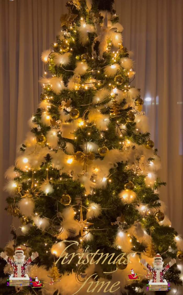 Bradul Oanei Zăvoranu