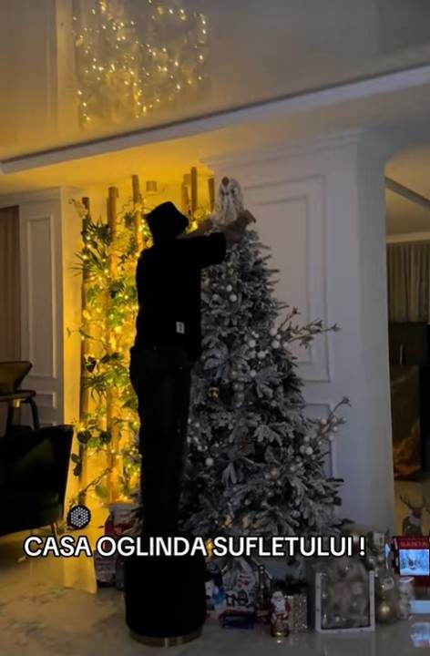 bogdan de la ploiesti brad de craciun