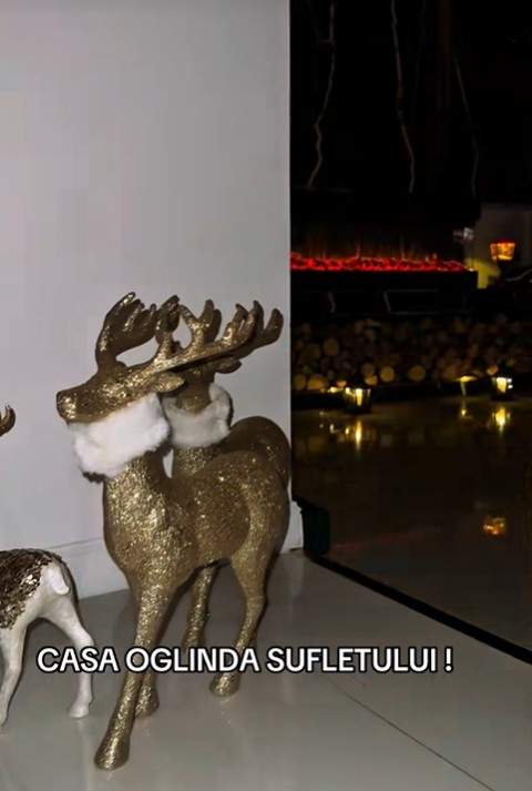 bogdan de la ploiesti brad de craciun