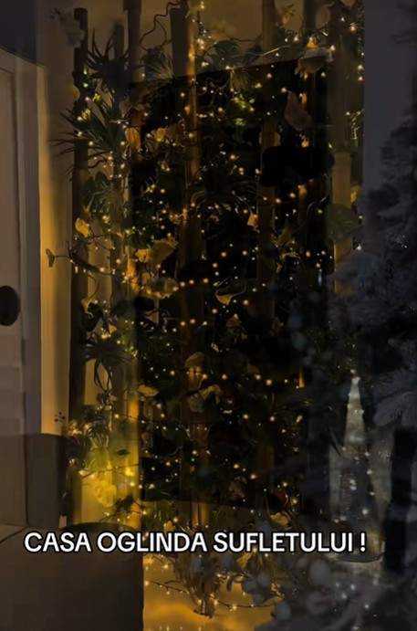 bogdan de la ploiesti brad de craciun