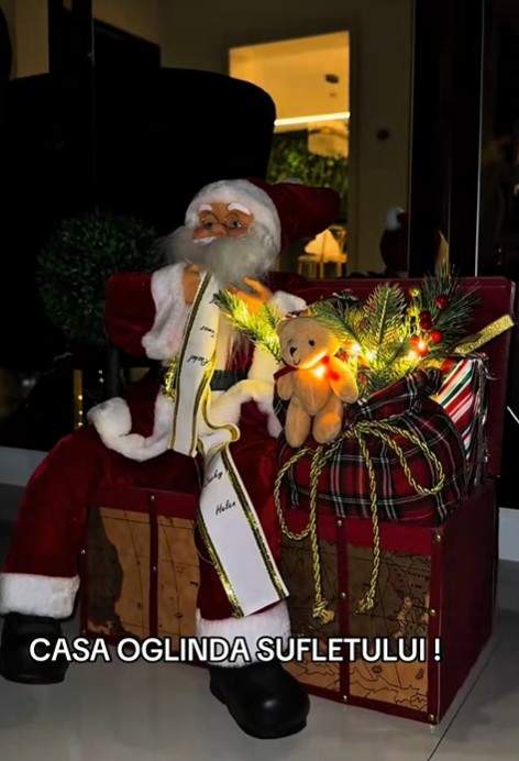 bogdan de la ploiesti brad de craciun