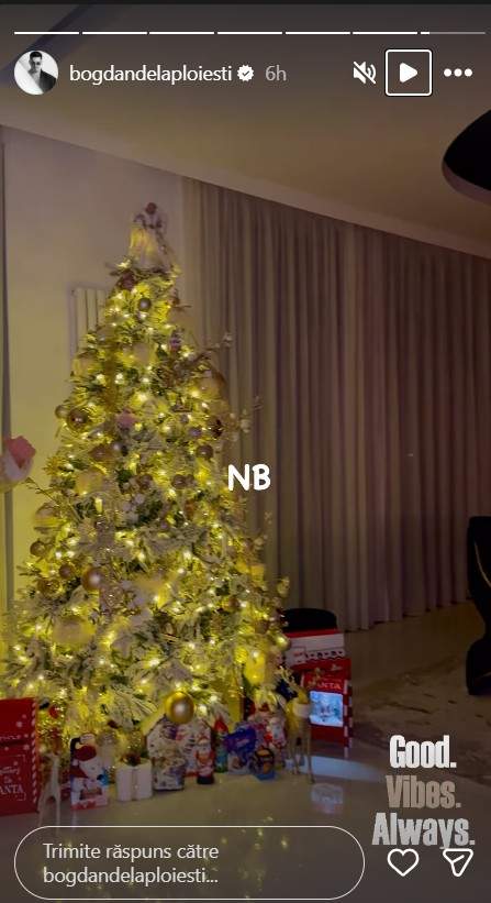 bogdan de la ploiesti brad de craciun