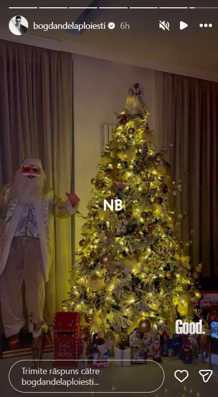bogdan de la ploiesti brad de craciun