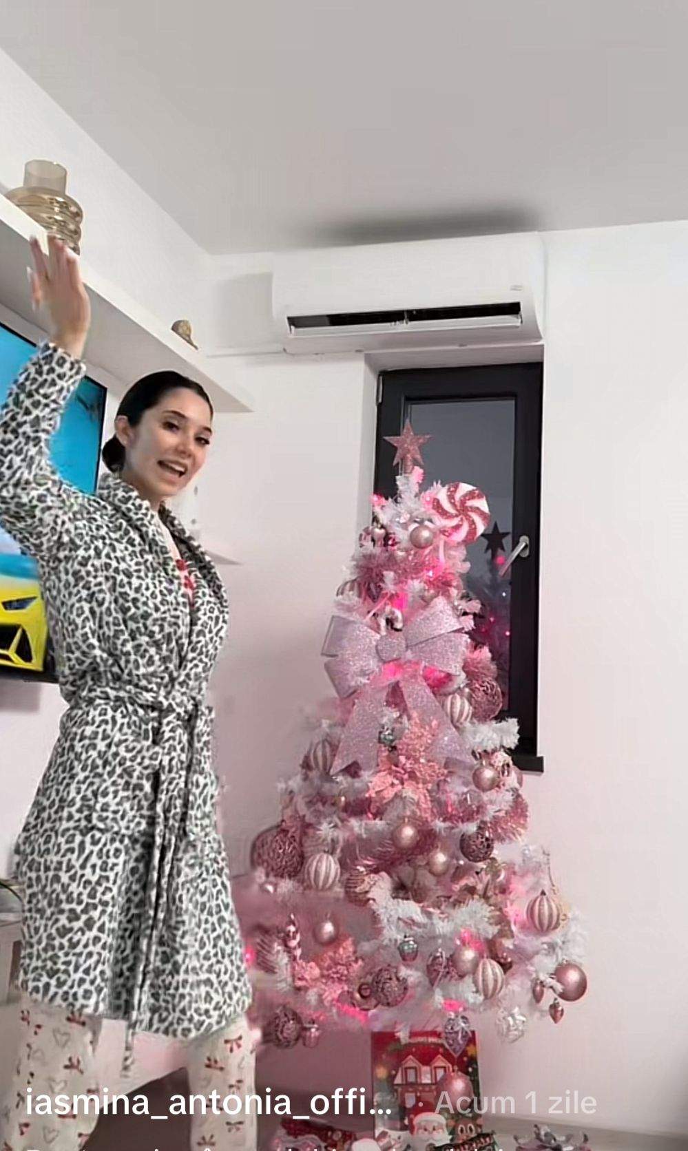 Iasmina, prezentându-și bradul de Crăciun