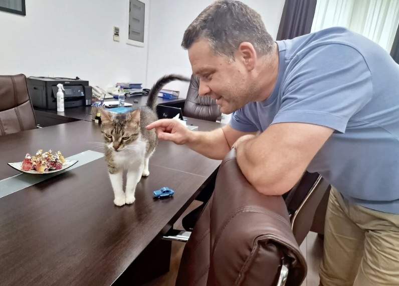 ciprian ciucu si pisica