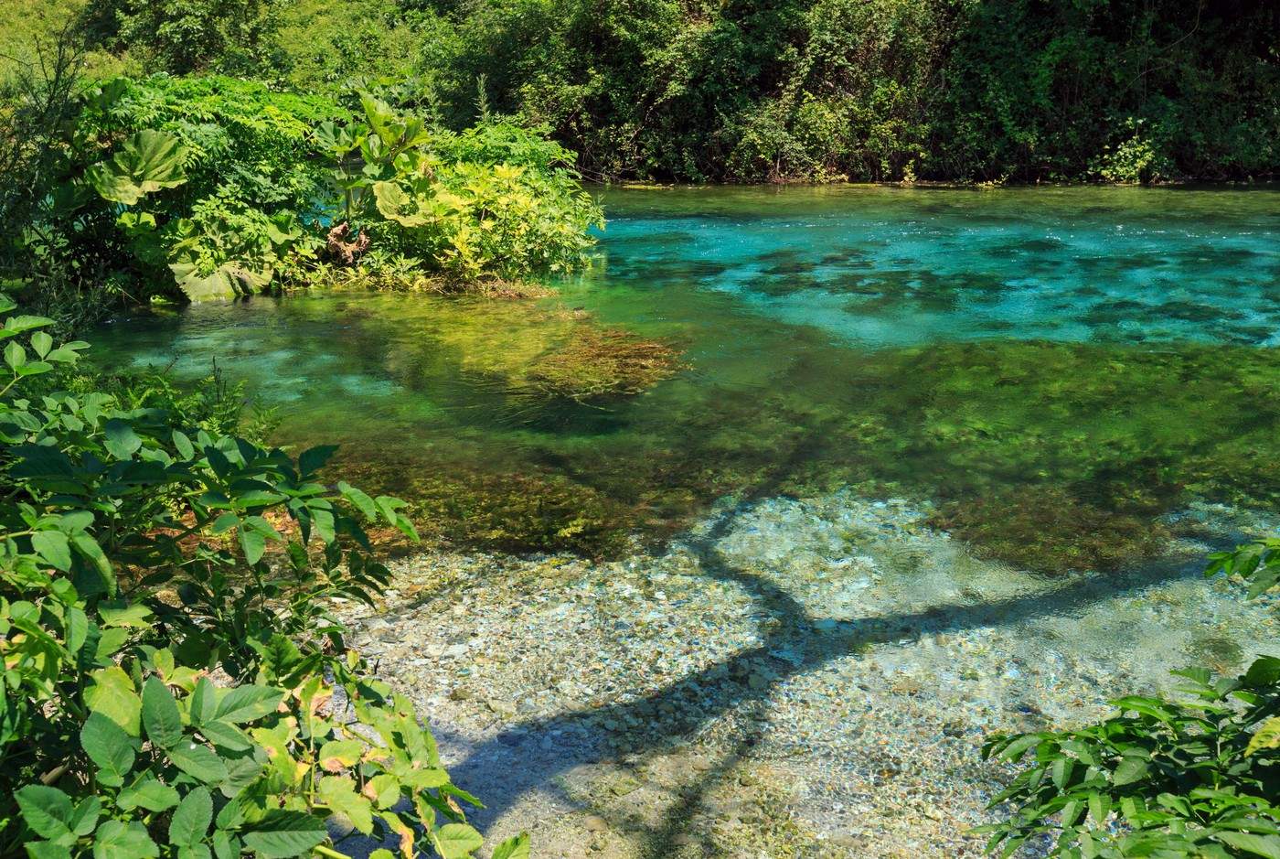 Albania