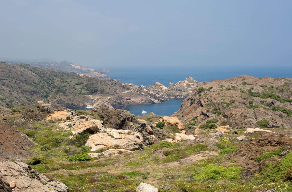 Parcul natural Cap de Creus. Vene de pegmatită (rocă albă) și schist din Ordovician. Municipalitatea Cadaqués, Alt Empordà, Girona, Catalonia, Spania.