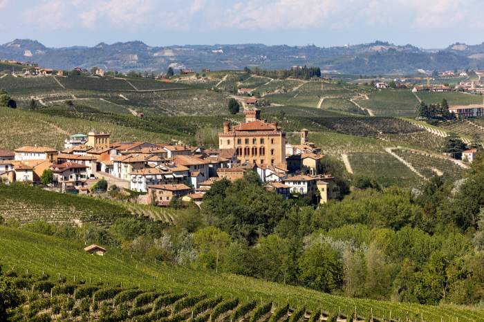 Orașul Barolo, cu castelul Falletti în regiunea Langhe. Piemont, Italia