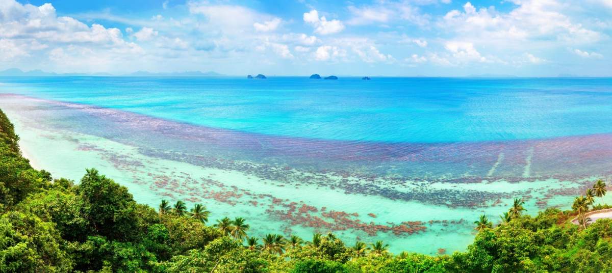 Insulă tropicală mare plajă panoramică aeriană vedere de sus, panorama oceanului de mai sus, recif de corali, apă turcoaz, palmieri, Koh Samui peisaj, Thailanda