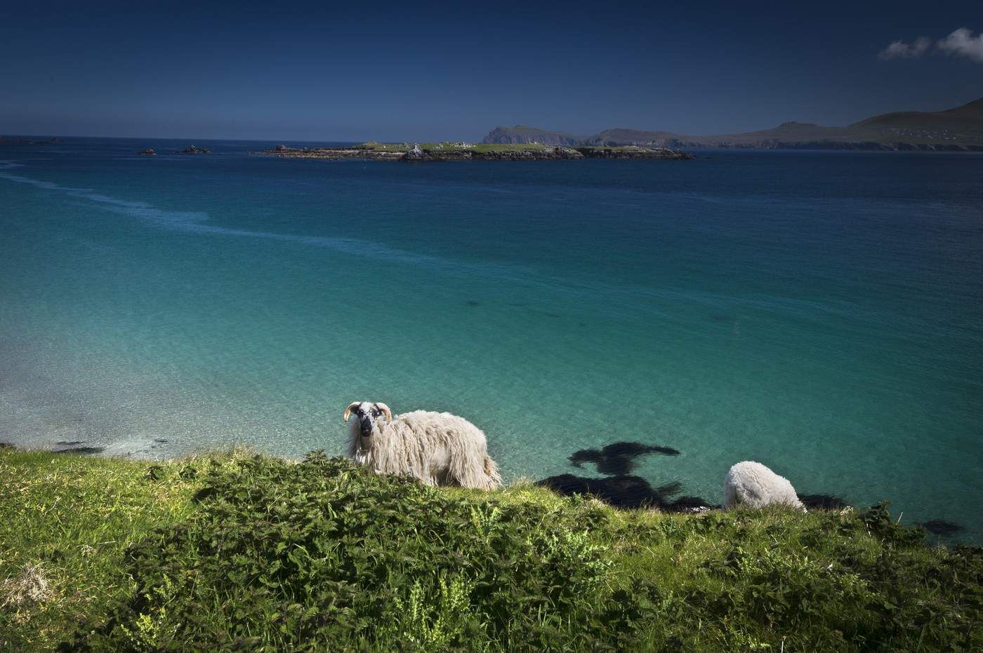 Insula Great Blasket