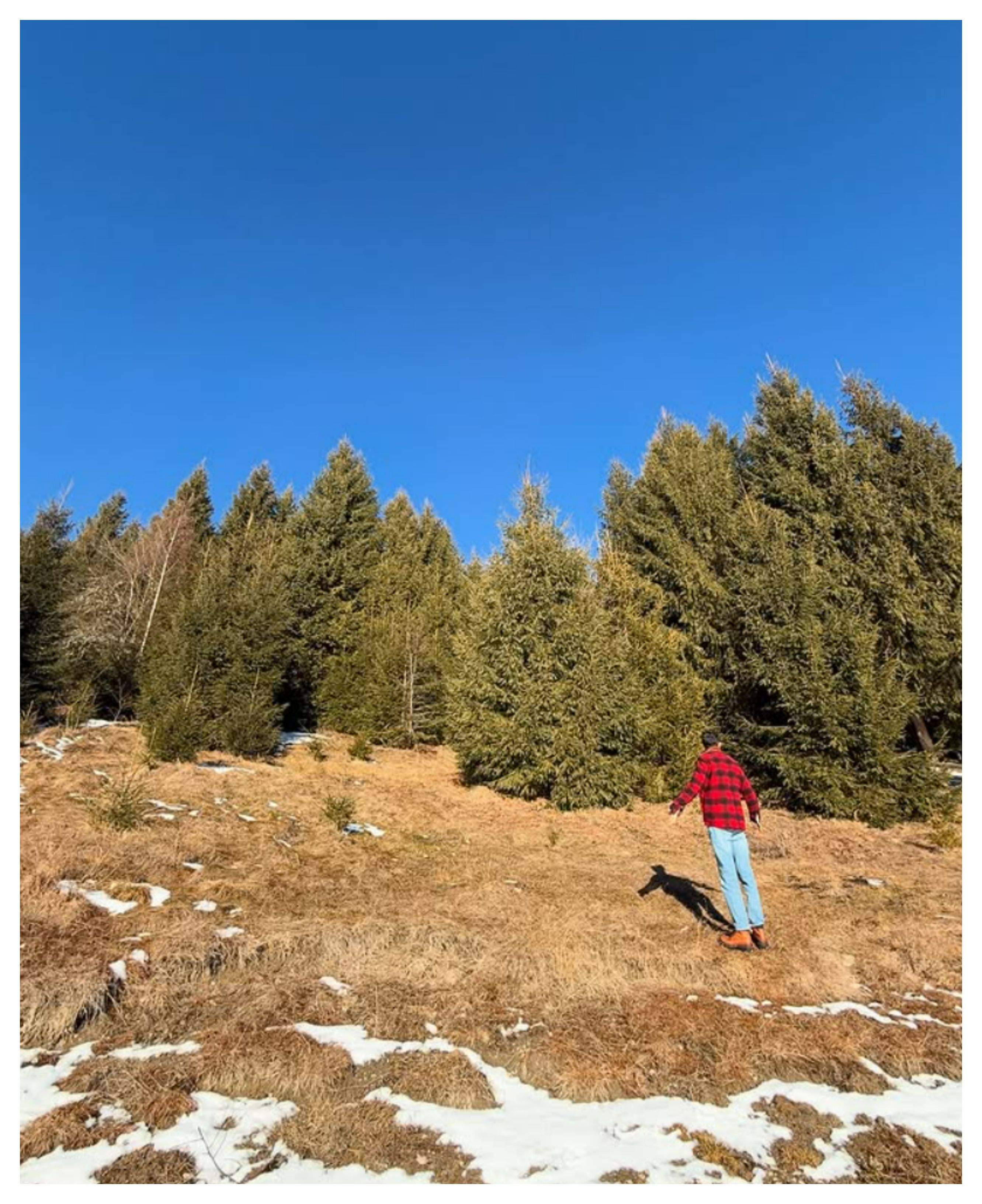 Ioana Grama și-a cumpărat teren pentru o casă la munte. Cum arată zona de la Lacul Beliș / FOTO