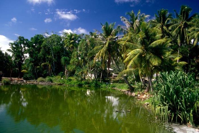 insula Nauru