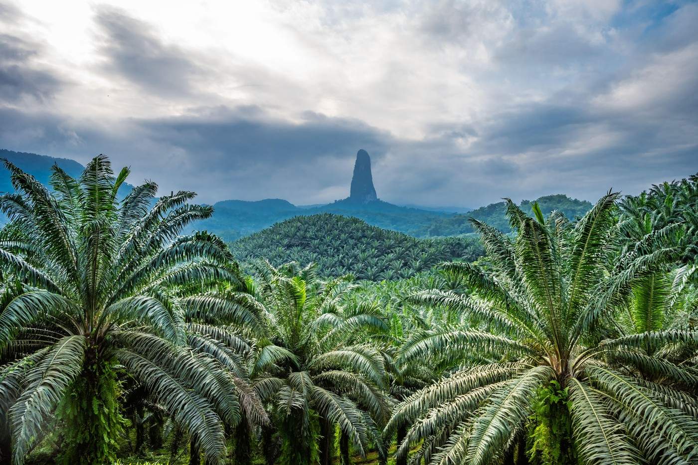 Sao Principe din Africa