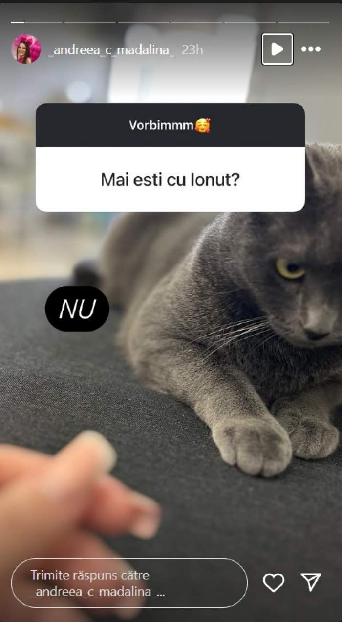 andreea si ionut mireasa