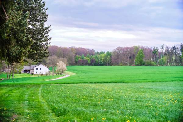 Un bărbat oferă propria casă unui cuplu de tineri. Ce condiții a impus