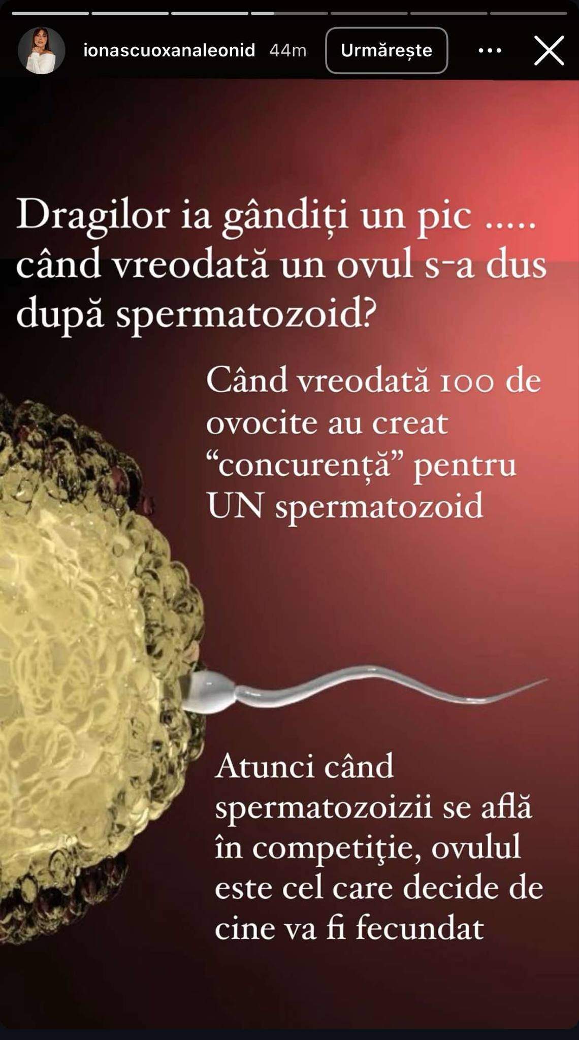 Oksana Ionașcu, un nou mesaj controversat. Înțepătură la adresa lui Cezar Ionașcu? / FOTO