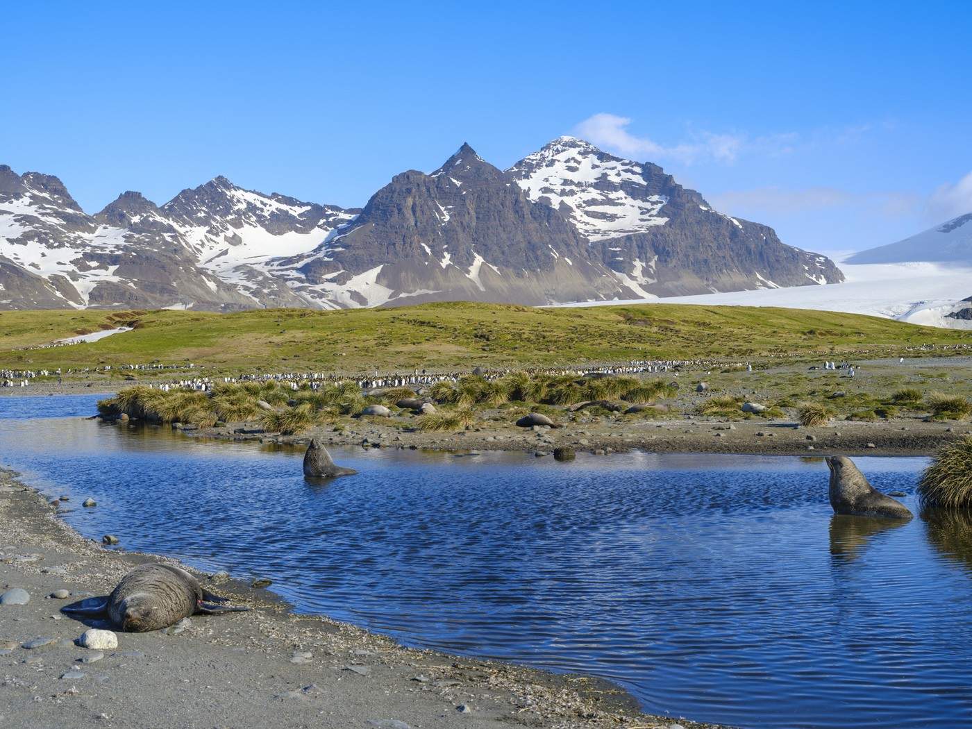 Insulele Kerguelen