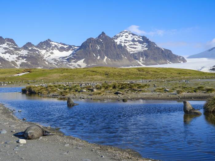 Insulele Kerguelen