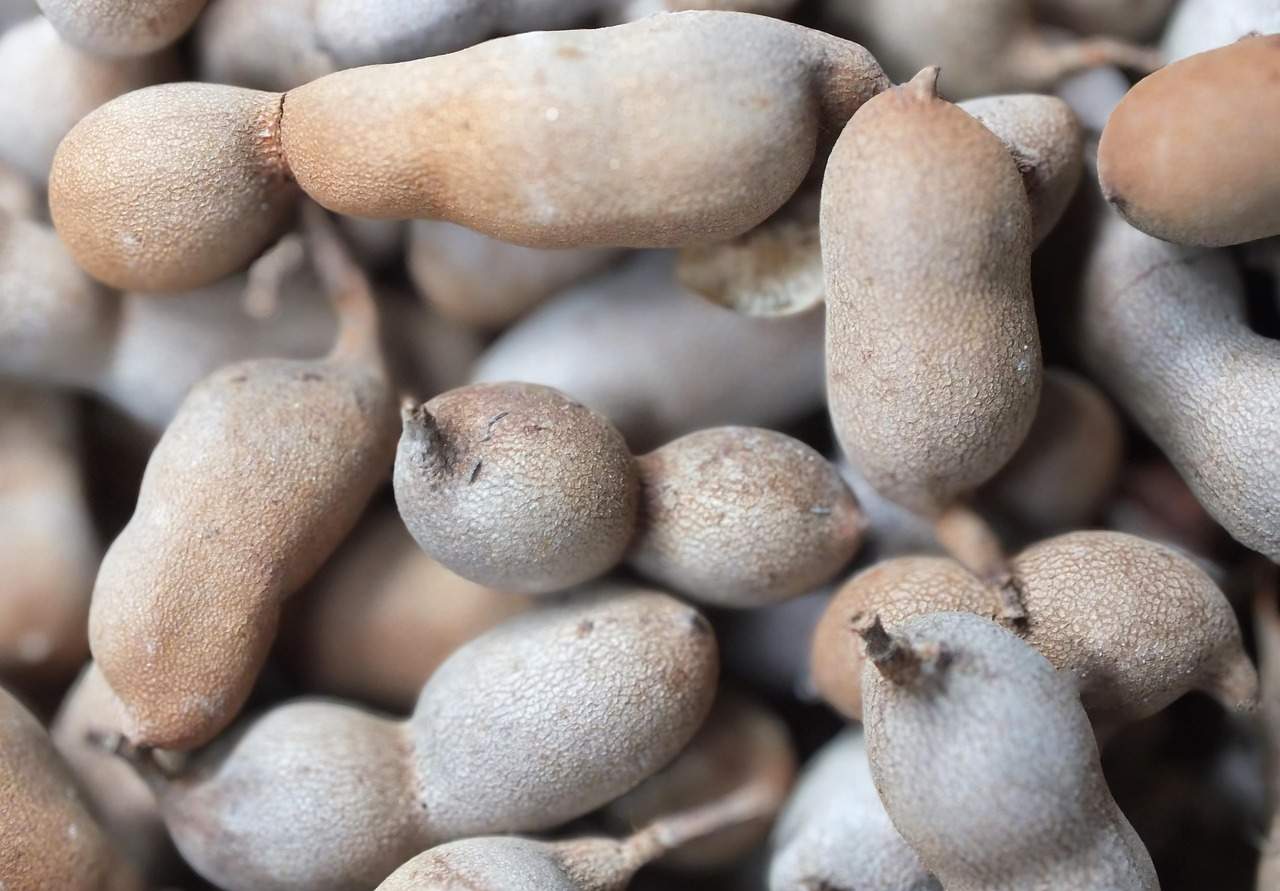 Alimentul care ajută la reducerea inflamației în organism. Cum trebuie să îl consumi