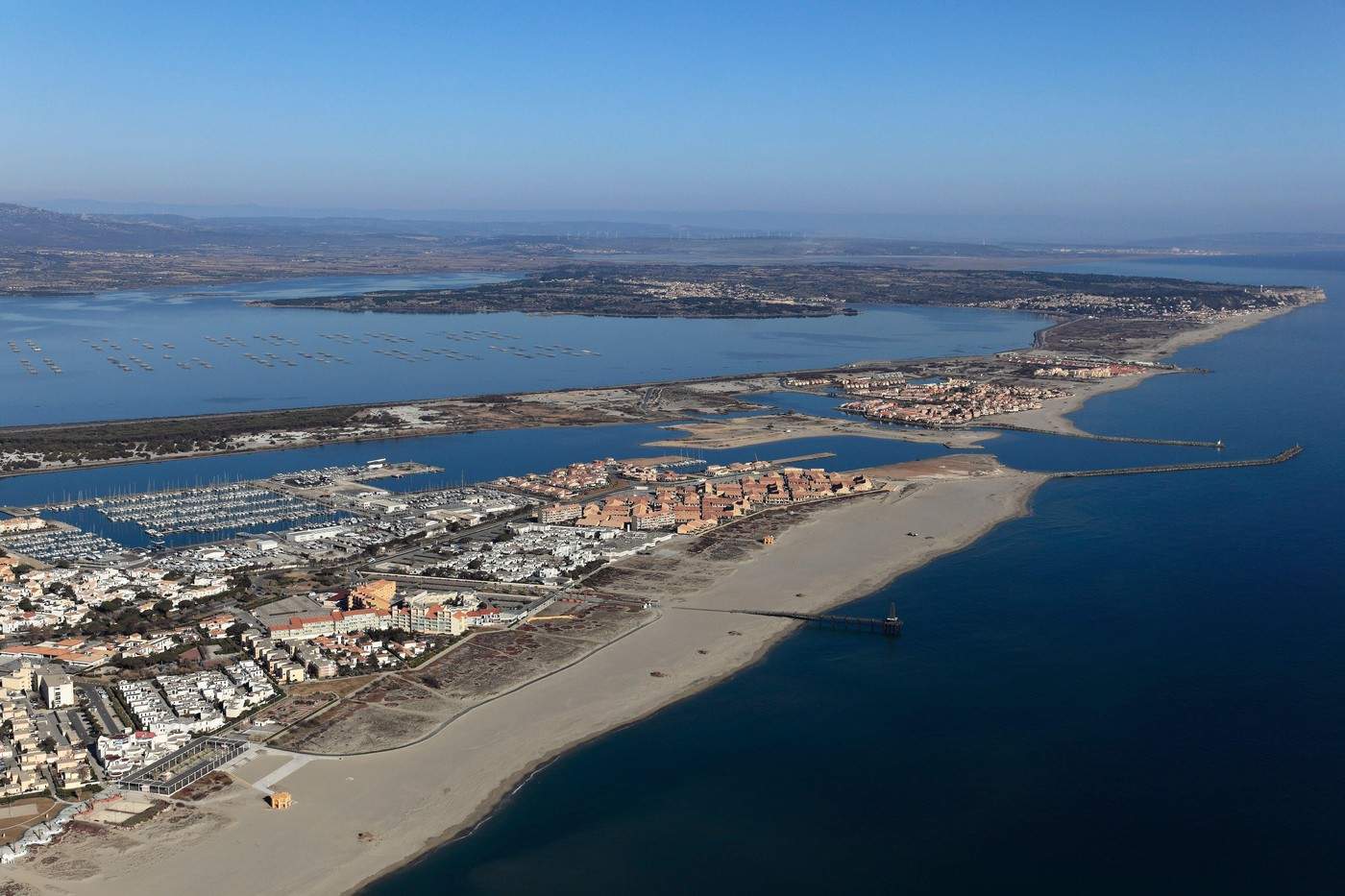 leucate