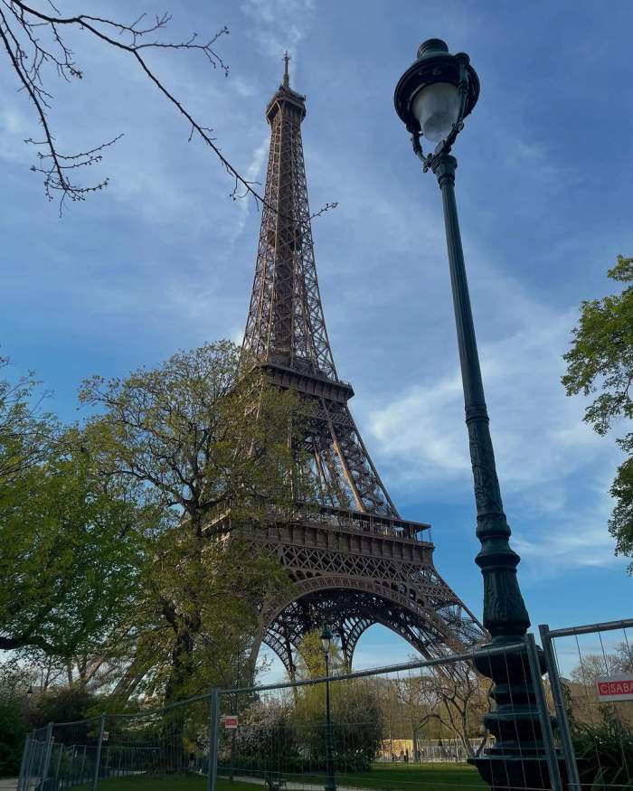 ionela si robert mireasa