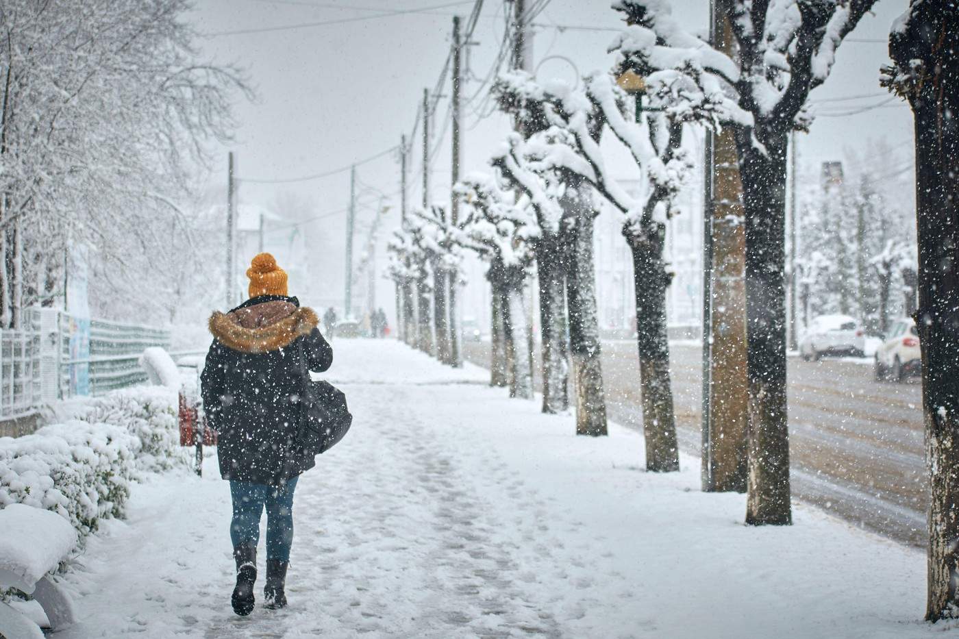 Ninsorile revin în ceqa mai mare parte a țării.