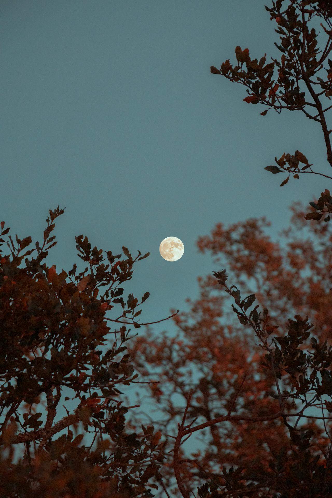 Luna plină în scorpion din 12 mai aduce multă schimbări. Care vor fi cele mai afectate zodii