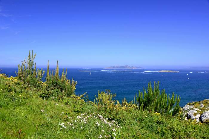 vacanta