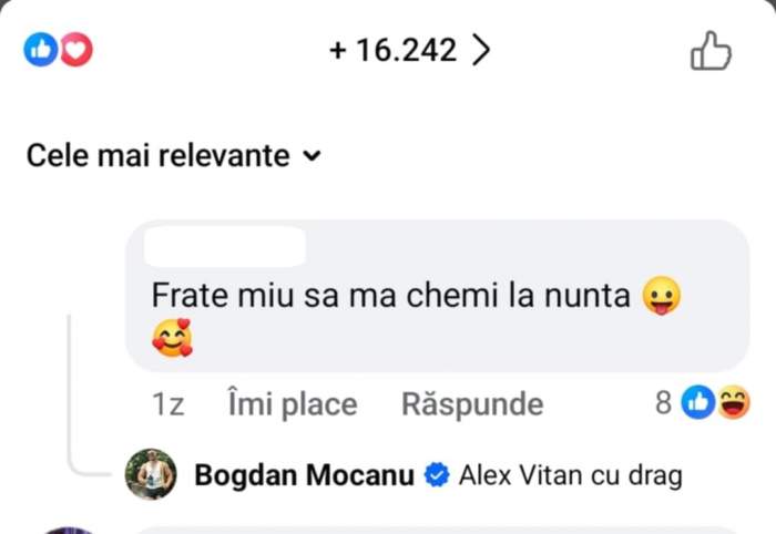 comentariul lui Bogdan Mocanu