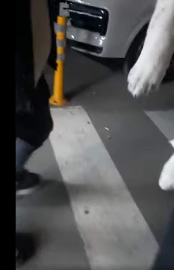 incident