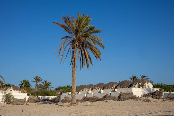 djerba